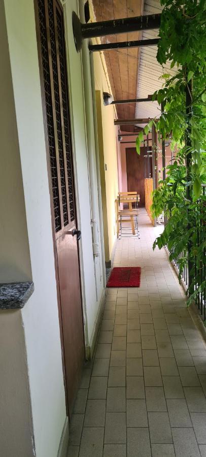 Musa Paradisiaca Apartment